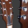 AG 335 Standard