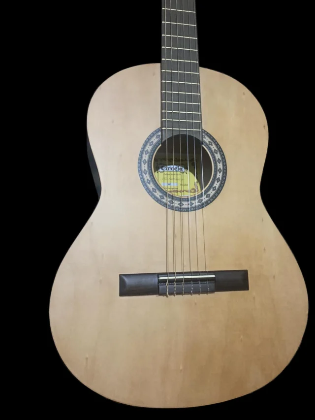 Clásica C/Fda Gracia $210000. PRECIO CALIDAD GARANTÍA